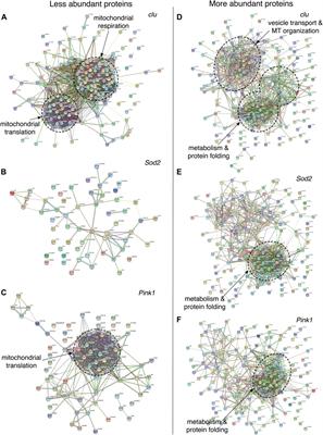 Loss of Drosophila Clueless differentially affects the mitochondrial proteome compared to loss of Sod2 and Pink1